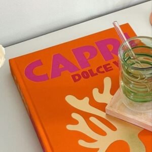 Small Assouline Travel Book( 20 sides)