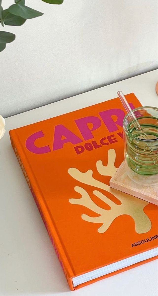 Small Assouline Travel Book( 20 sides)